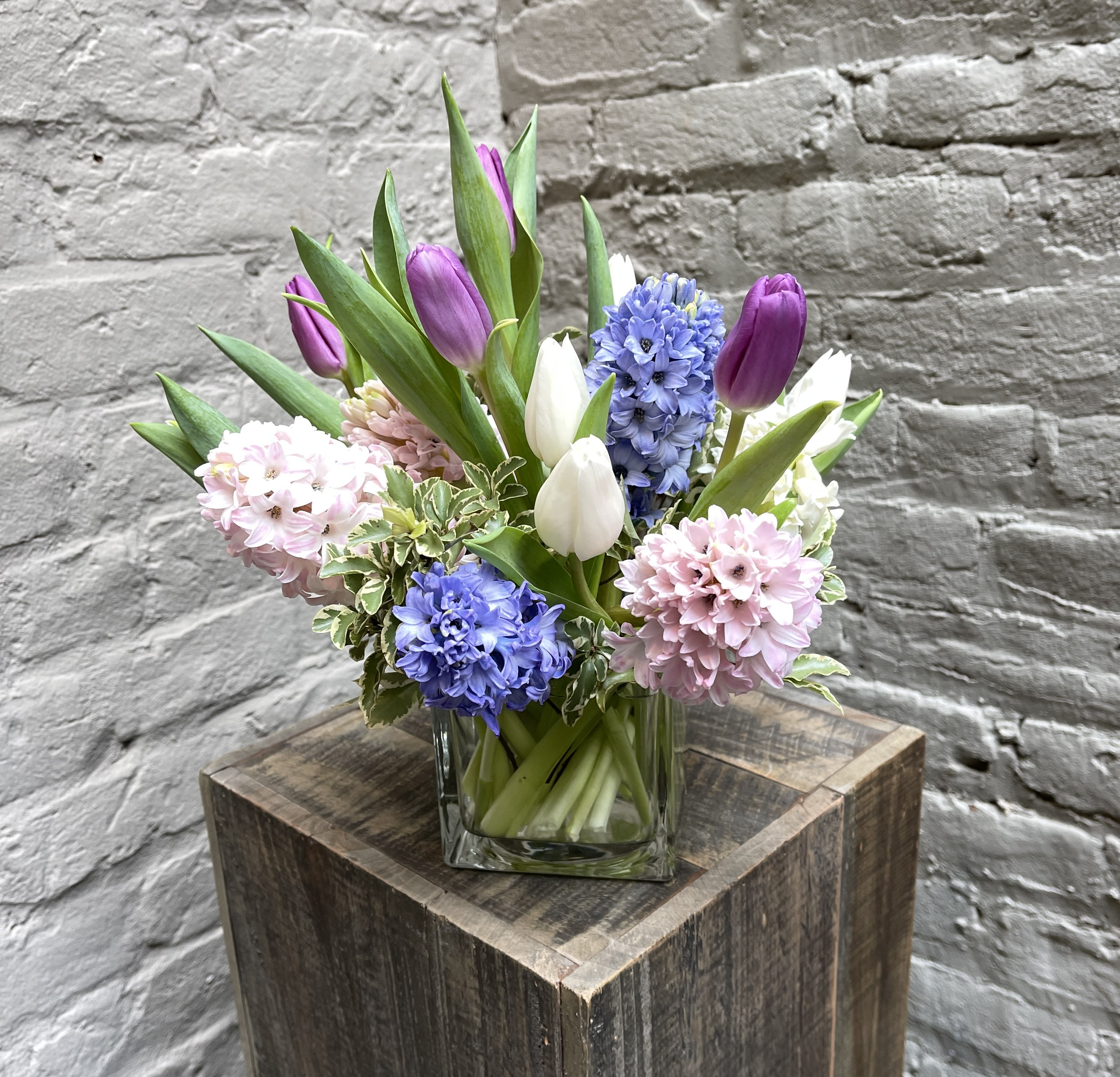 Fragrant Opulence  - Usher in the fragrance and color of spring with this scented beauty! This arrangement features a clear 4x4" glass cube filled with hyacinths, tulips, and delicate greenery that are sure to delight your senses with their elegance and sweet aroma. Upgrade to deluxe for a 5x5" glass cube and even more scented blooms!  Standard arrangement measures approximately 12"x12". Deluxe and premium arrangements measure approximately 16x16".