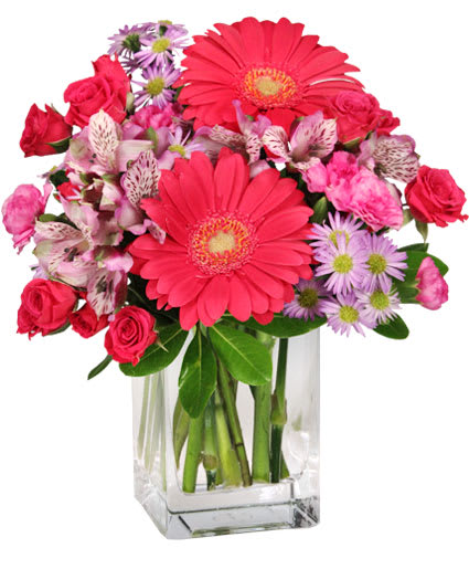 Girly Blooms - Gerber daisies, alstromeria, mini carnations and fillers in pink and lavender tones arranged in a compact rectangle container. The hot pink gerbera daisies will be substituted with red, white, and light pink gerberas. Approx 8"T X 7"W