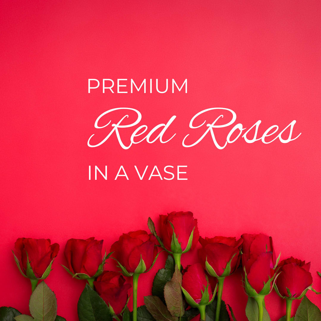 Classic Dozen Red Roses - Elevate the art of gifting with our stunning Dozen Roses in a Vase – a timeless expression of love and sophistication. This exquisite arrangement features twelve velvety roses, meticulously selected for their pristine beauty and captivating fragrance, artfully cradled in a sleek and stylish vase.