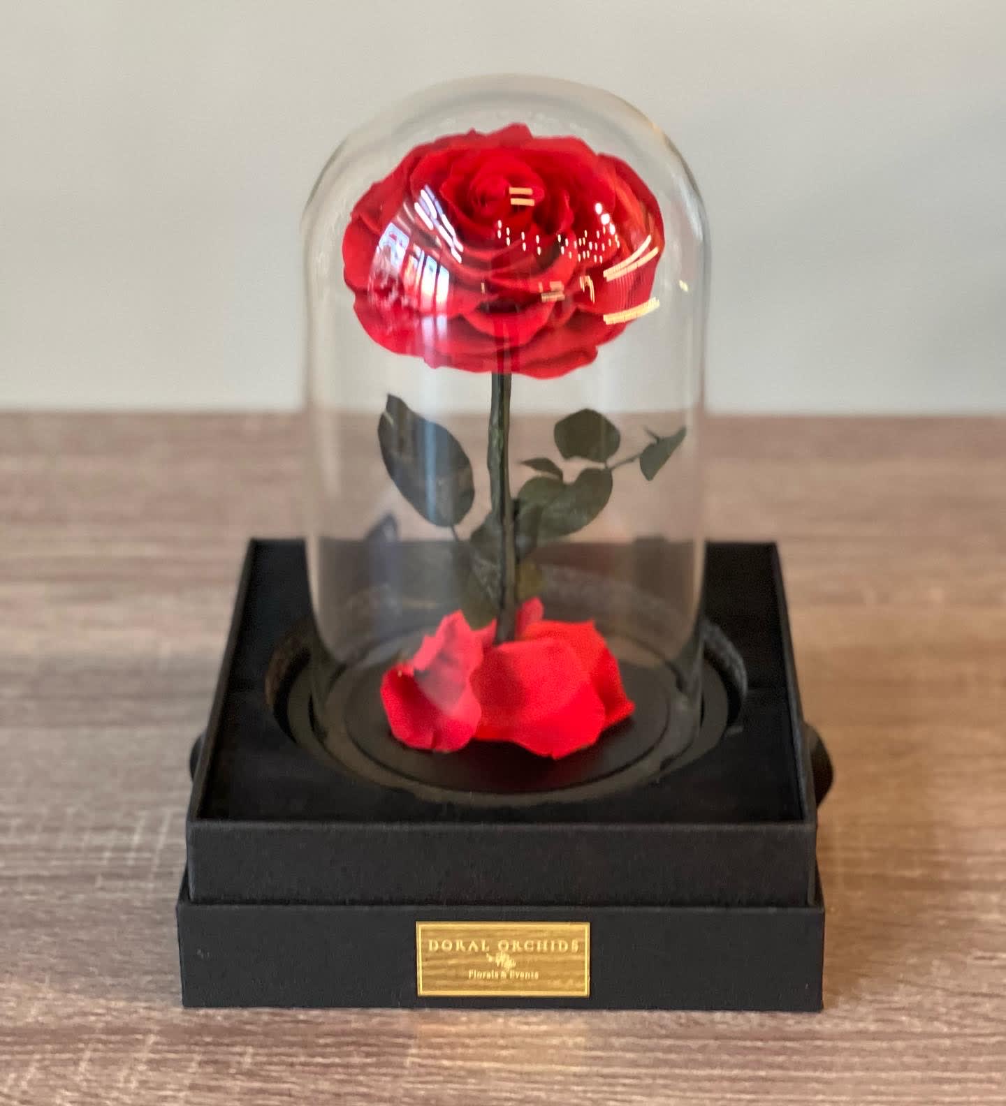 Beauty and the beast ™ - Preserved rose in a glass cloche 