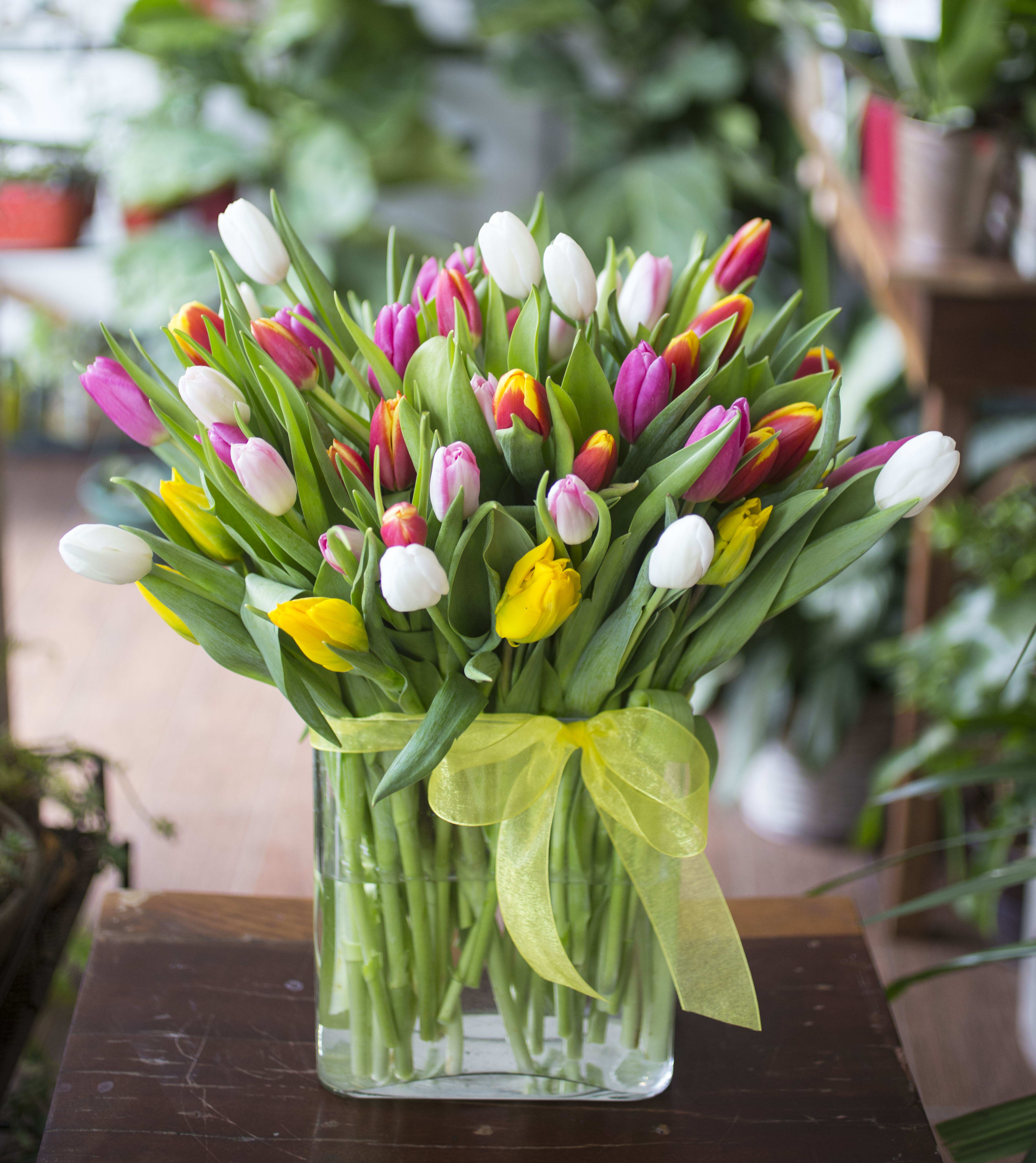 Adam - Colorful array of 50 stems of Tulips in a glass vase.