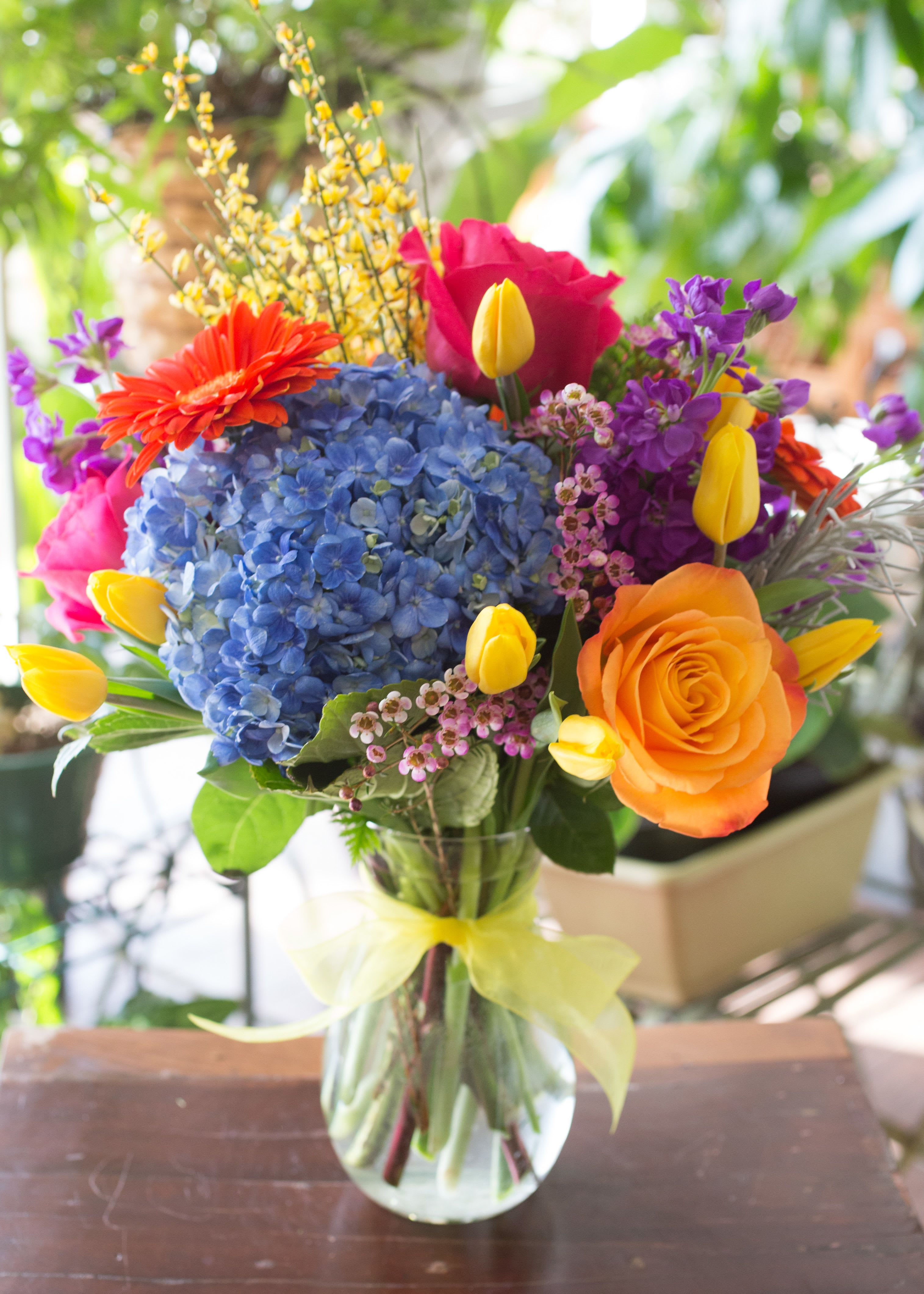 Jenny - Hydrangeas, Roses, Gerbera Daisies, Stock with seasonal accents arranged in a clear glass vase with ribbon