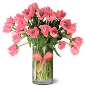 Precious Pink Tulips - Premium [30TULPK] - So pretty, so perfect, so delicately pink. These 30 artistically arranged pink tulips are just about the sweetest gift ever for your sweetheart.      Thirty pink tulips arranged in a clear glass vase, tied with a pink ribbon.     Order online today for same-day delivery      As Shown : 30TULPK 