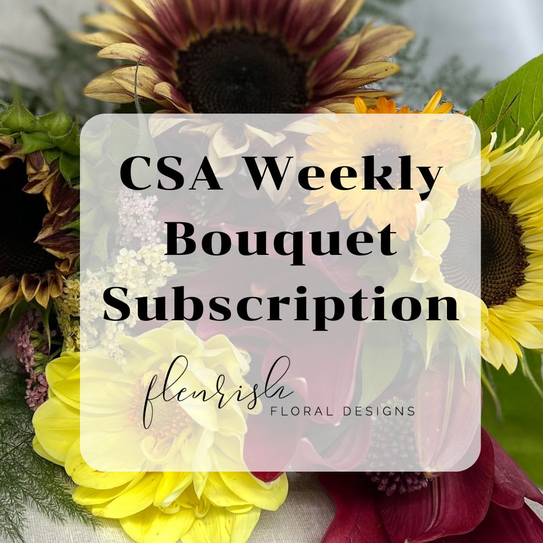 CSA Weekly Bouquet Subscription (1 month) - This subscription is a weekly cut bouquet of our locally garden grown florals for 1 month!  Our passion is to bring you locally grown florals! With no better variety than farm grown, you’re sure to get a custom bouquet that reflects the blooms that are in season. CSA Is a sustainable practice as we reduce our carbon footprint by growing our own florals and transporting them directly from farm to shop! *CSA usually ends mid-late October