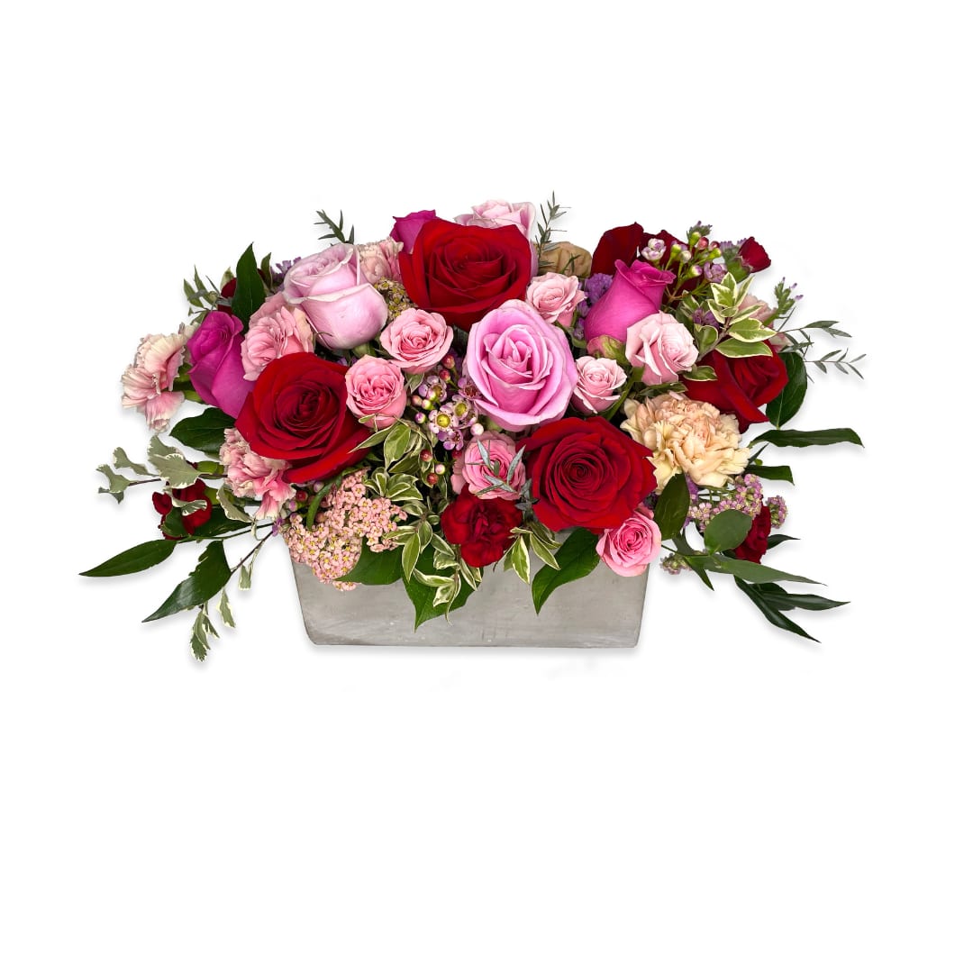 Make My Day Roses  - Bring beauty on a special occasion with this lovely and playful rose melody.
