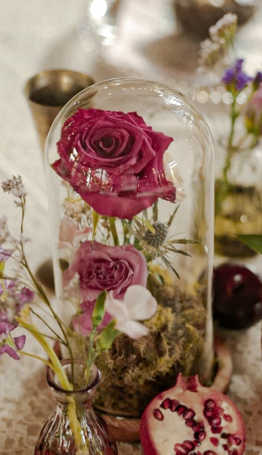 Belle's Rose - A cool sophisticated way to admire flowers - this arrangement is made with a single fresh rose in moss and floral foam with a couple smaller secondary stems in a cloche. 
