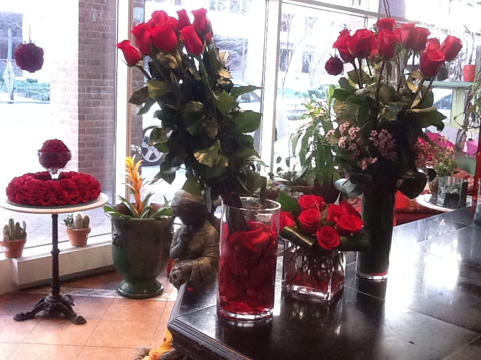 Tour Eiffel  - Long Red roses wrapped in red ribbon ,tall vase 