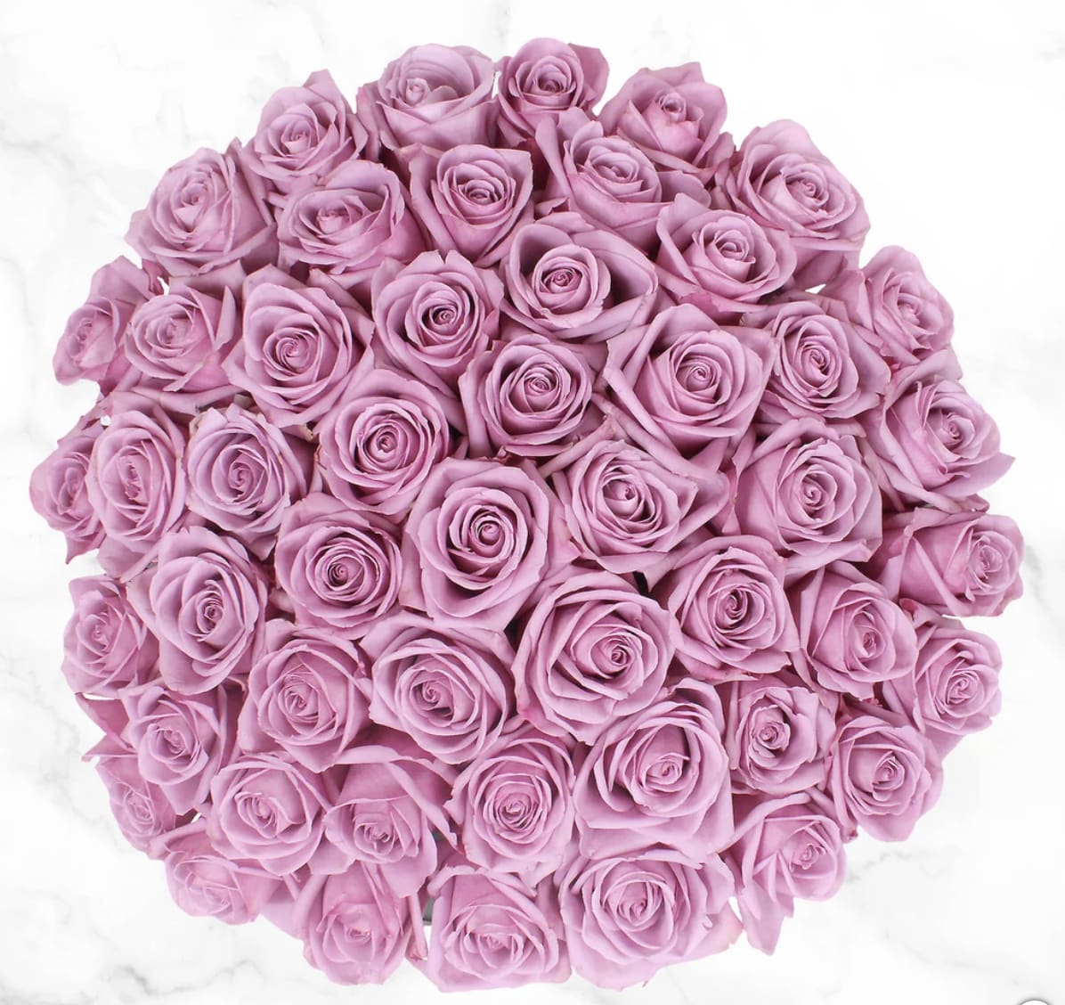 50 Lavender Roses  - Perfect gift for lavender lovers. 
