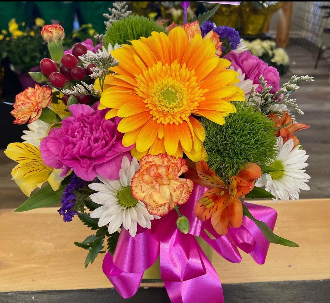 Good Dear Good by Lotherington's - This bright and cheery cube arrangement is festive and perfect for any celebratory occasion. The arrangement includes gerbera daisies, carnations, and alstroemeria. It is the perfect gift to celebrate birthdays or to let someone know you are thinking of them. APPROXIMATE DIMENSIONS: 12" D x 13" H  ***Colors and blooms maybe substituted depending on season and availability ***