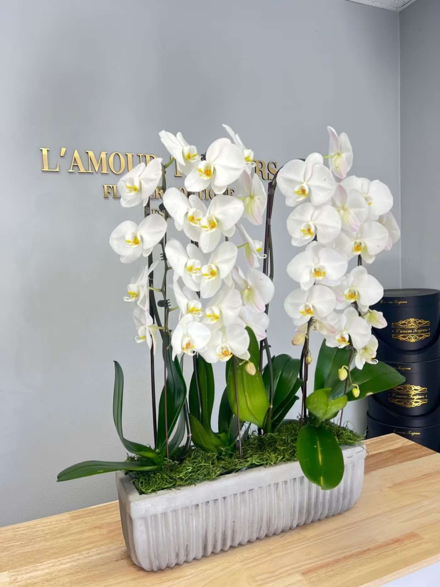 Grand Cascade of Orchids - Product Information Premium center piece with 4 arching orchids