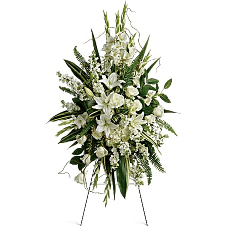 Heart Felt Sympathy Standing Spray - A serene and elegant standing spray designed to express heartfelt sympathy and bring a sense of peace to funeral and memorial services. Soft white blooms are artfully arranged to create a calming, respectful tribute that honors a life with grace and beauty.  This sympathy standing spray features white hydrangea, white roses, white oriental lilies, white gladioli, and white stock, accented with pitta negra, sword fern, curly willow, variegated aspidistra leaves, and lemon leaf. Arranged on a wire easel for display at funeral services, visitations, or memorial gatherings.