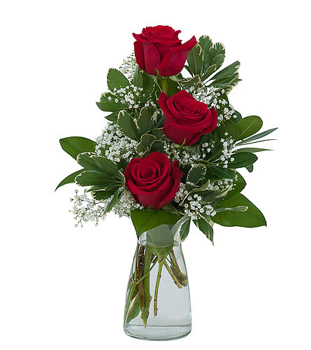 Simply Roses - A simple and beautiful vase filled with three red roses. 