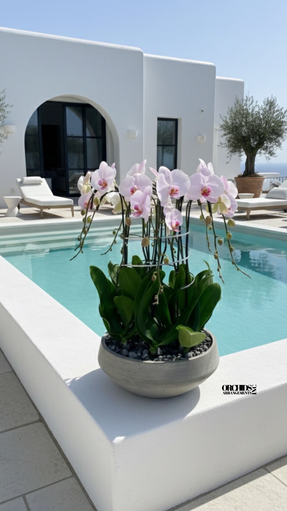 Pink Orchid Flowers Same Day - A high quality Ten pink orchids arrangement with a vase 16.5" D X 6" T. An orchids arrangement deliver for any occasion design with fresh natural real beautiful Phalaenopsis cascade orchids plants minimalist decor.