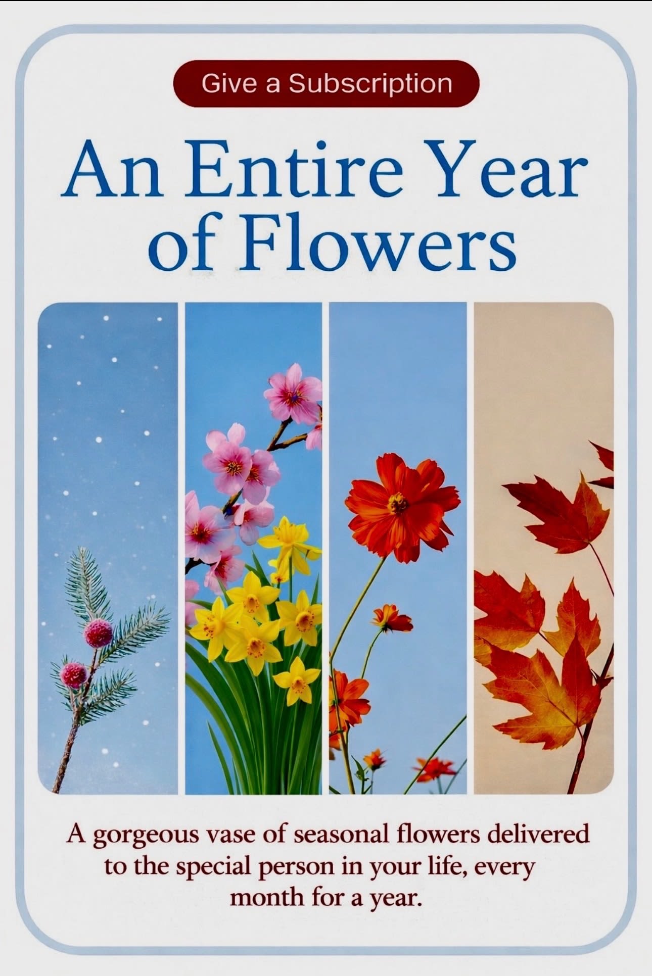 Monthly Seasonal Subscription - Monthly Seasonal Subscription