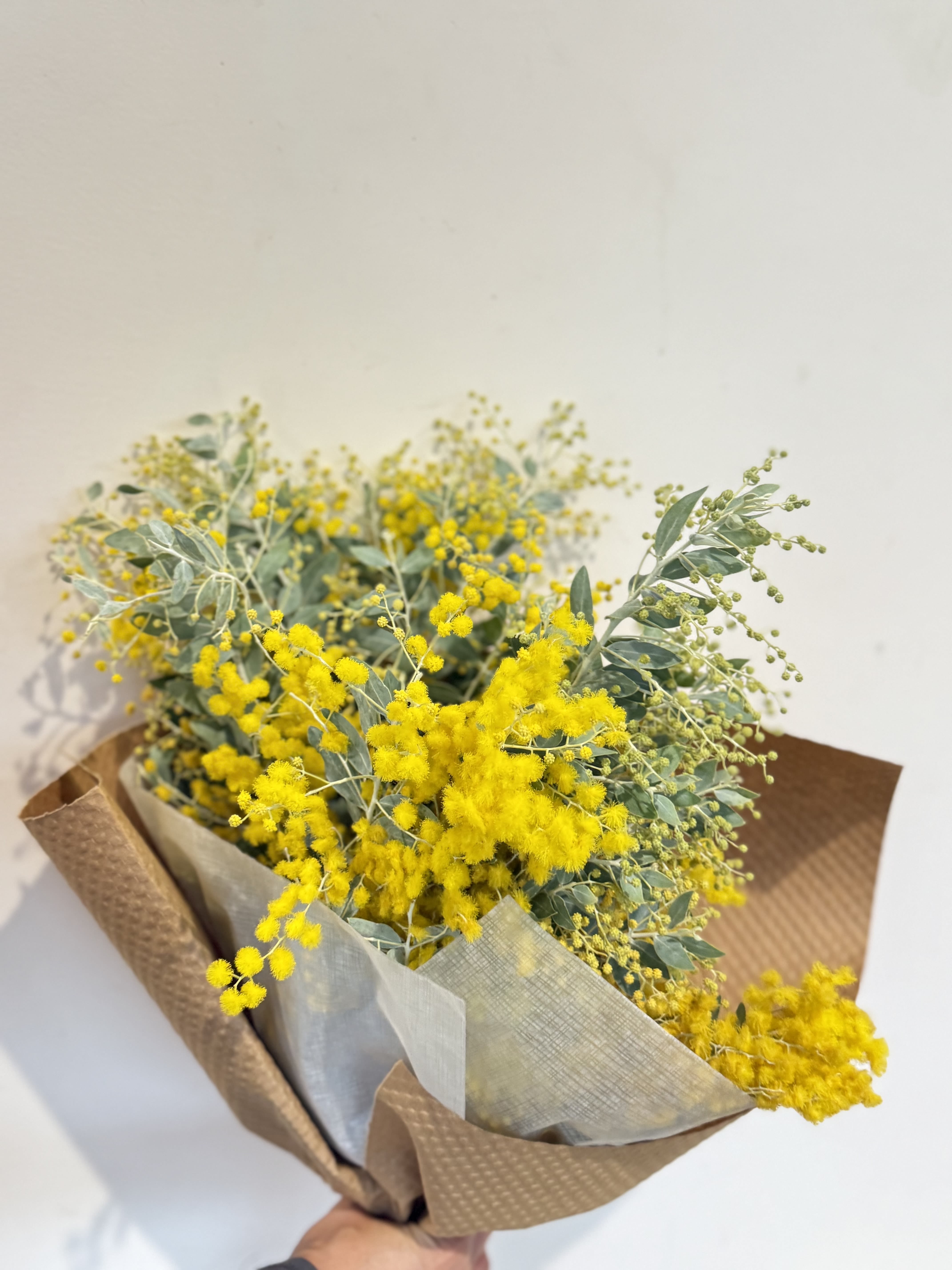 Mimosa bouquet - Mimosa's hand-tied bouquet  * Yellow Mimosa (Acacia) primarily blooms in winter and early spring, from January to March.