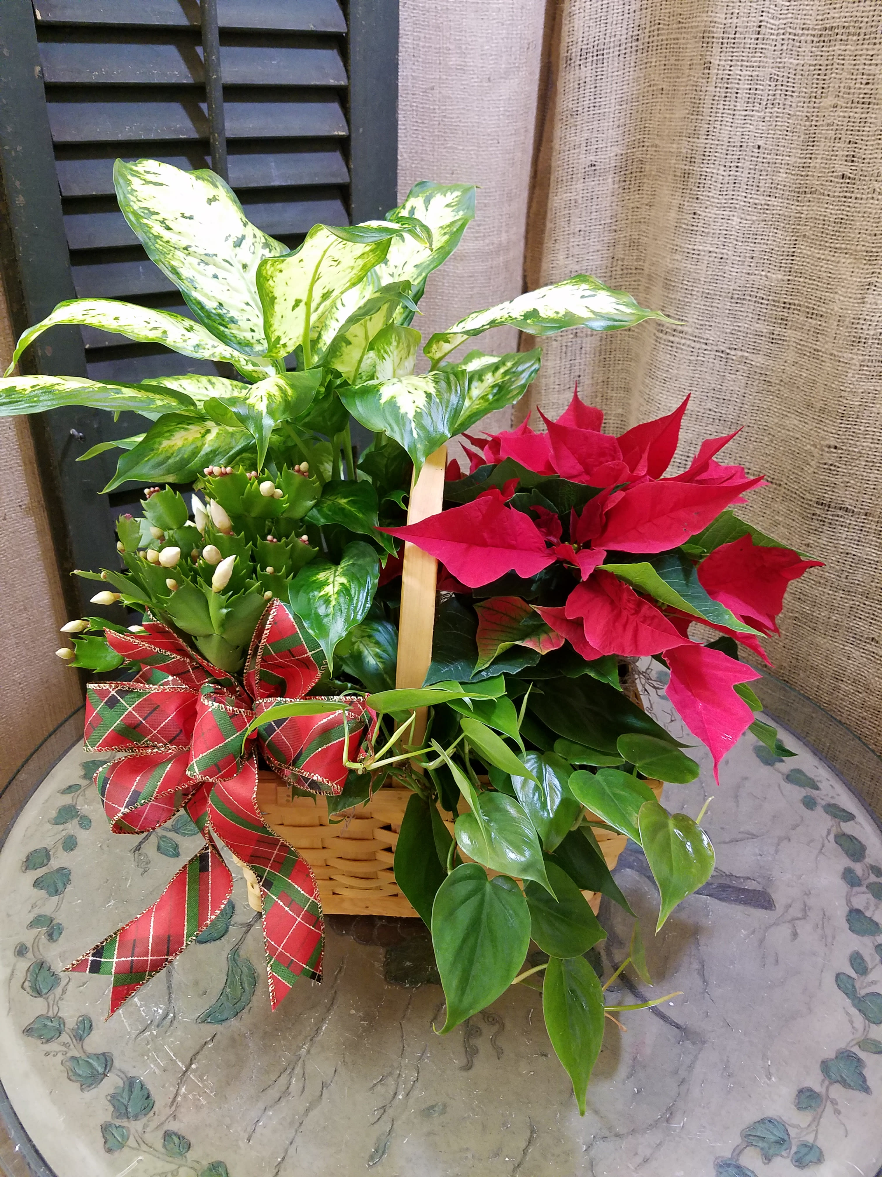 Christmas Blooming Garden - This beautiful garden basket is filled with seasonal flowers and is perfect for any occasion.  