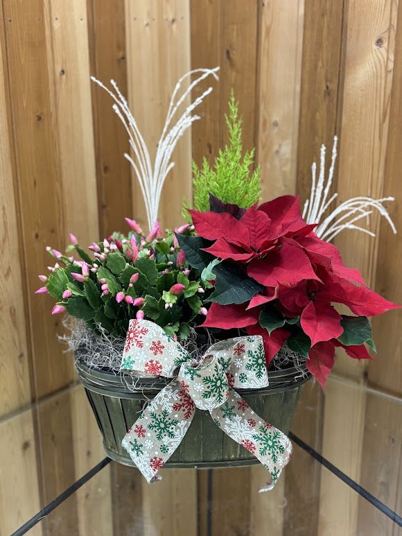 Christmas Garden of Cheer - Basket of Fresh Christmas Plants with a box and decorations is perfect for anyone's home!