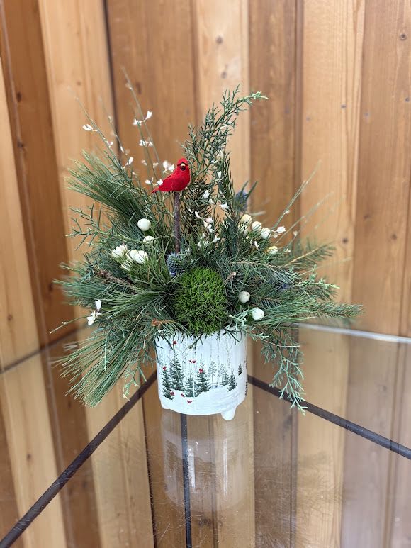 Cardinal Winter Arrangement - Celebrate the beauty of the season with our Cardinal Winter Greens Arrangement. This fresh design features fragrant winter greens, natural textures, and soft white accents, all nestled into a charming seasonal container. A bright red cardinal adds a heartfelt touch, symbolizing warmth, love, and remembrance during the winter months. Perfect for holiday decorating, gifting, or bringing a cozy woodland feel into your home, this arrangement captures the quiet beauty of winter in a timeless way.
