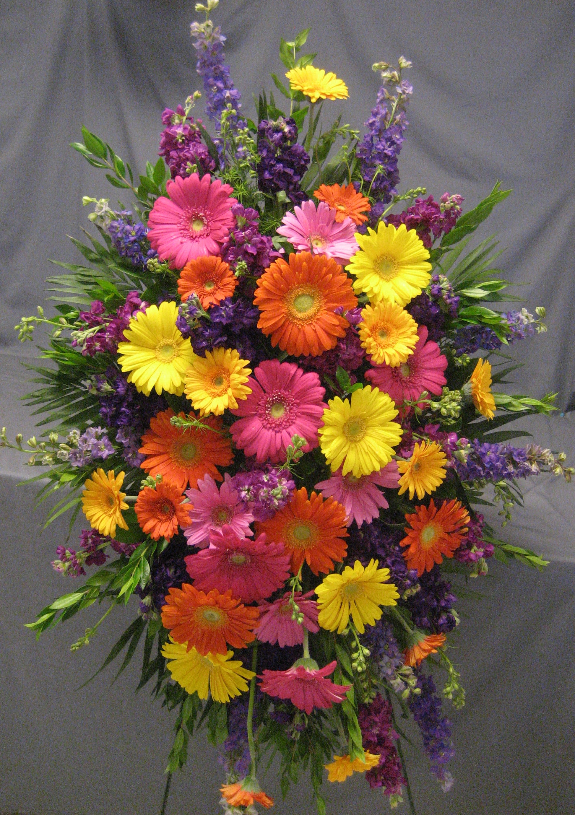 Gerber Standing Spray E17 - Bright colored gerber daisies, both large and mini, fill this standing spray for a cheerful celebration of life.