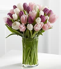 Mixed Tulips colors will vary - Assorted colors of tulips arranged in a vase 
