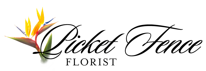 Gift Card - Gift Card for Online Purchases