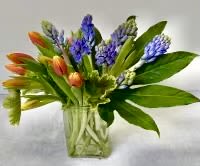 AMSTERDAM - Orange tulips and blue hyacinths in a glass vase with some greenery Colors maybe change