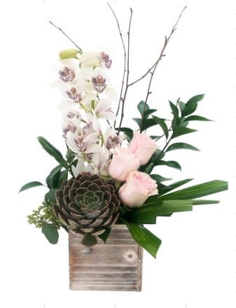 Orchid Garden - Elegant and contemporary, this floral arrangement pairs cascading white orchids with soft blush roses and a striking succulent, finished with lush greenery and natural branch accents. Designed in a rustic wooden cube, it offers a beautiful contrast of refined blooms and organic textures.