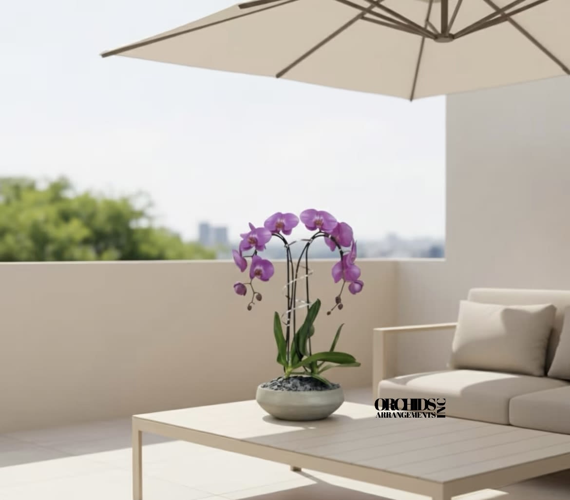 Pink Cascade Orchids Same Day - A high quality Double pink orchid arrangement with a vase 10" D X 3" T. An orchid arrangement flower deliver for any occasion design with fresh natural real beautiful Phalaenopsis cascade orchid plant minimalist decor.