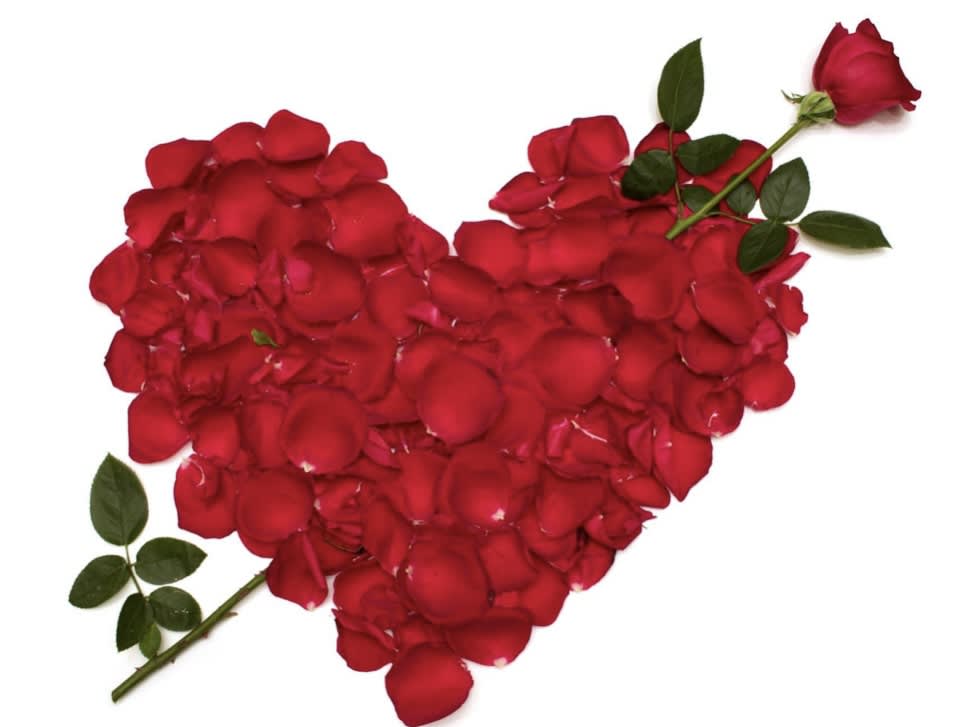 Valentine Florist Choice - Let our designers choose the perfect combination of fresh flowers to create a beautiful, one of a kind arrangement for your Valentine. We will use the freshest flowers we have and make this something to brighten their day and show your thinking of them!