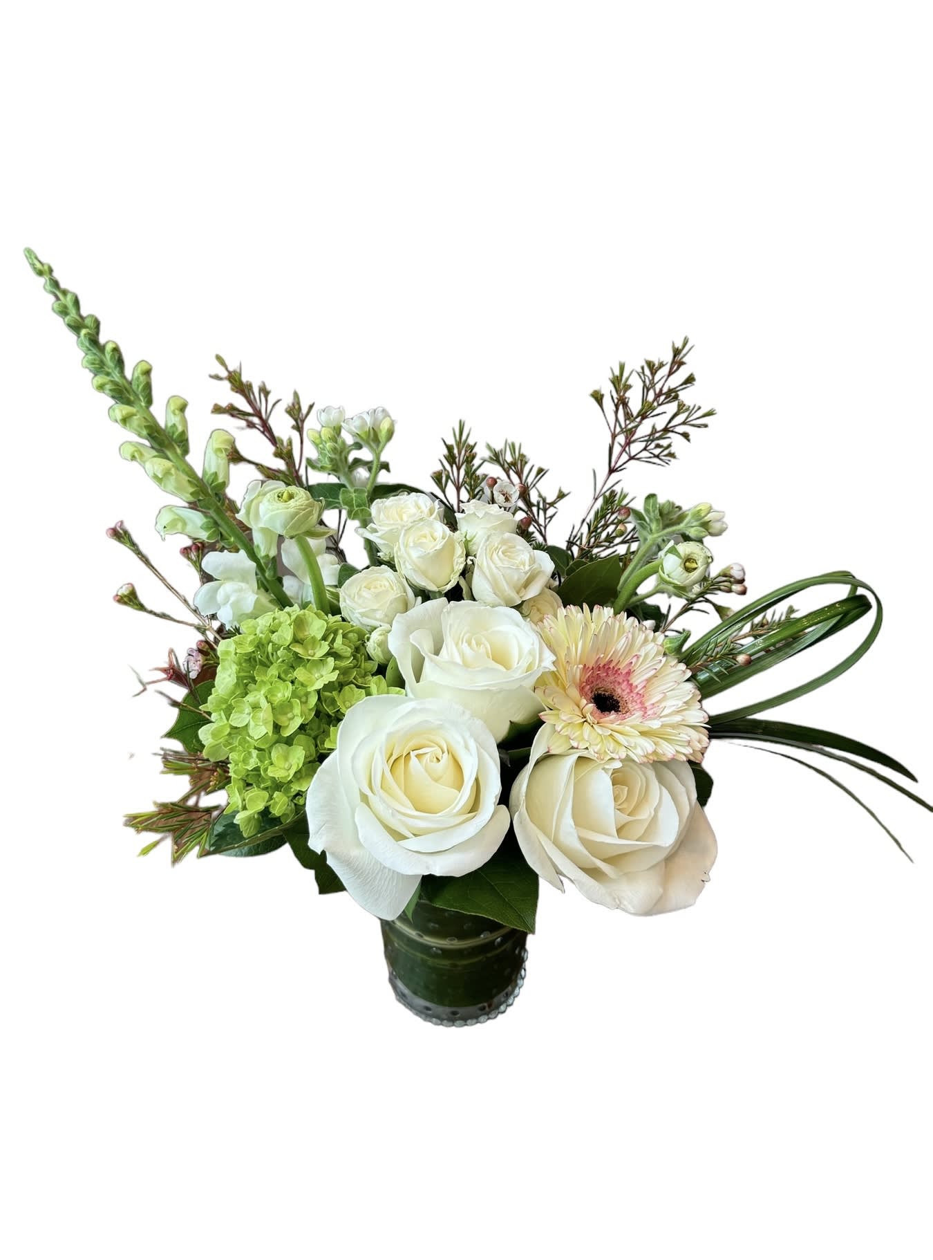 Blissful - White roses, white spray rose, white gerbera, white snapdragon and more designed in a small glass vase. As shown in photo.