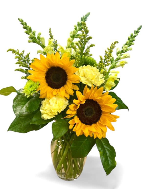 Sunny Delight Vase - This vibrant bouquet features cheerful sunflowers with their bright yellow petals and dark centers, complemented by soft, creamy yellow carnations and delicate snapdragons in shades of pale yellow. Lush green foliage adds fullness and contrast, creating an arrangement that radiates warmth and sunshine. Perfect for brightening any space or celebrating joyful moments, this lively floral display embodies the spirit of happiness and vitality.