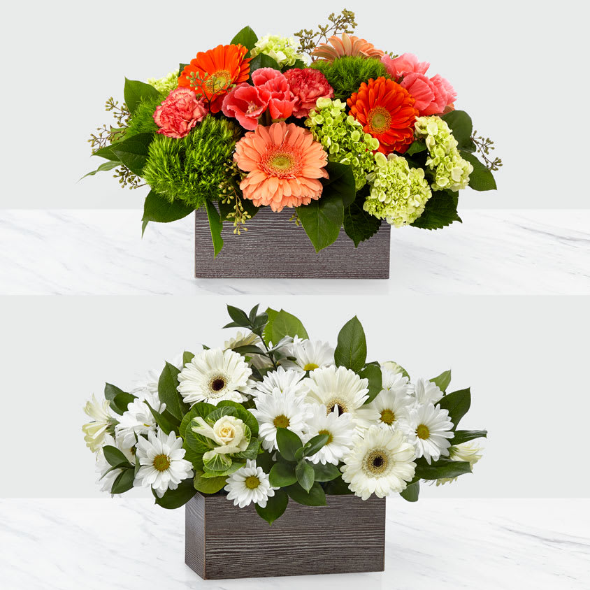 Home Sweet Home Bouquet by FTD - White daisy pompon,  white gerbera daisies, green ornamental kale