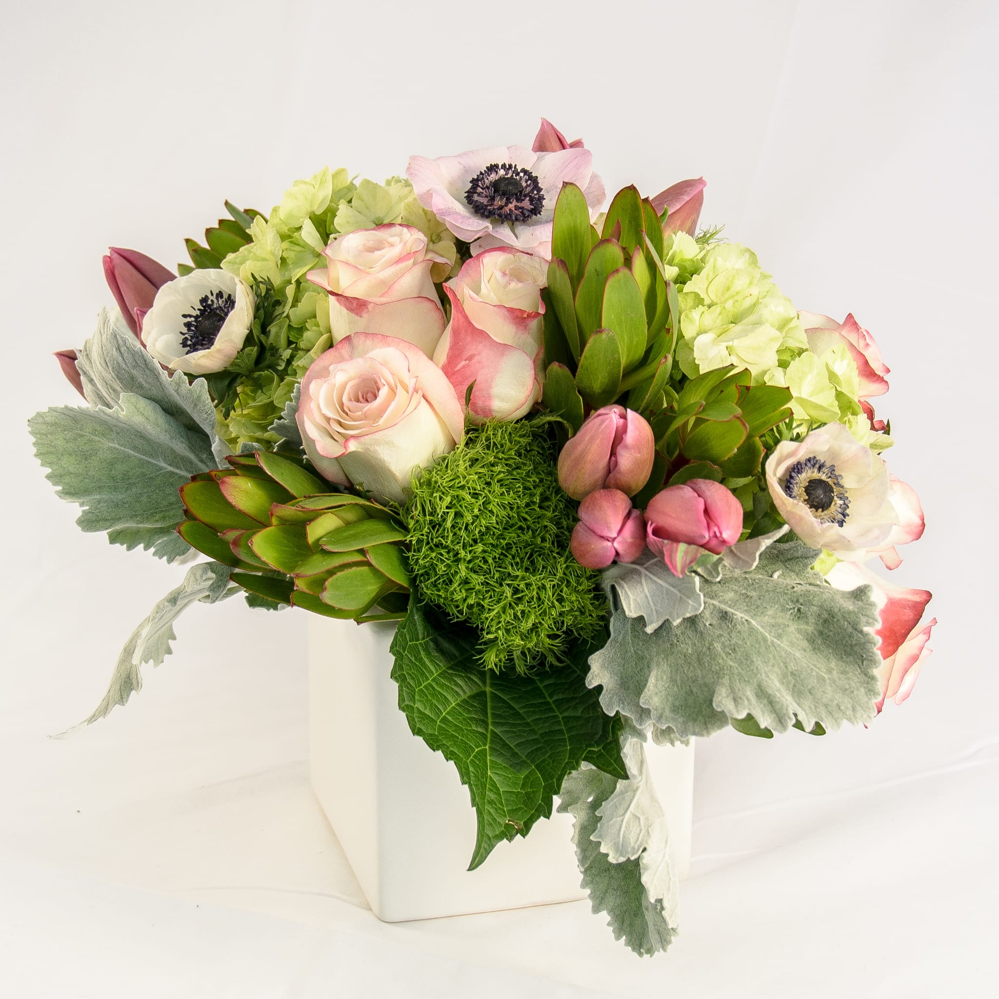 Gisele - A sweet compact arrangement in white ceramic vase. Soft and tender texture of two-toned roses, blush tulips, white anemone, lime green hydrangeas, dusty miller, dianthus moss balls, and green safari sunset. (Approx. size 10"w x 10"h x 10"d)