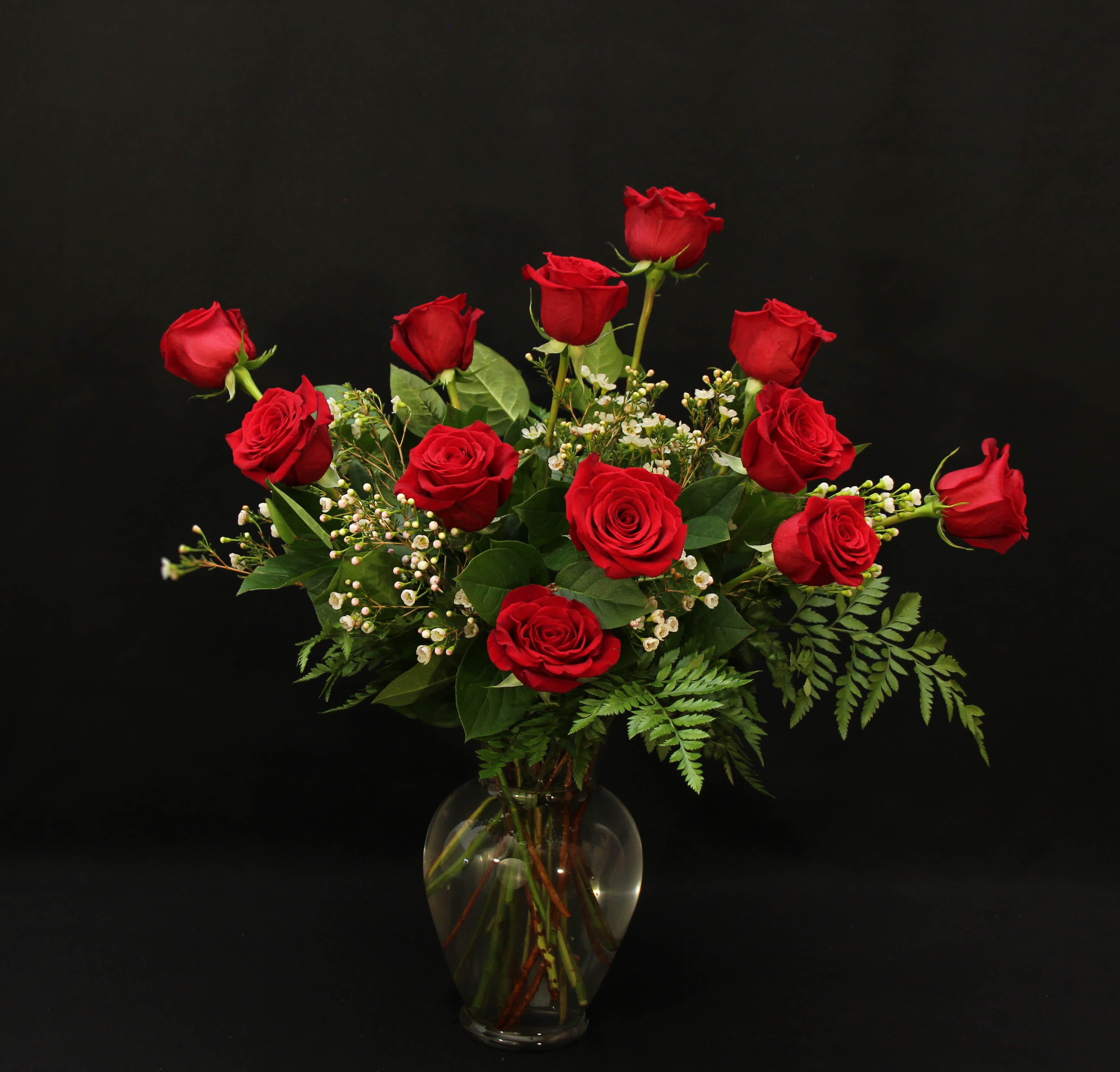 Standard Dozen Roses  - Dozen Roses 