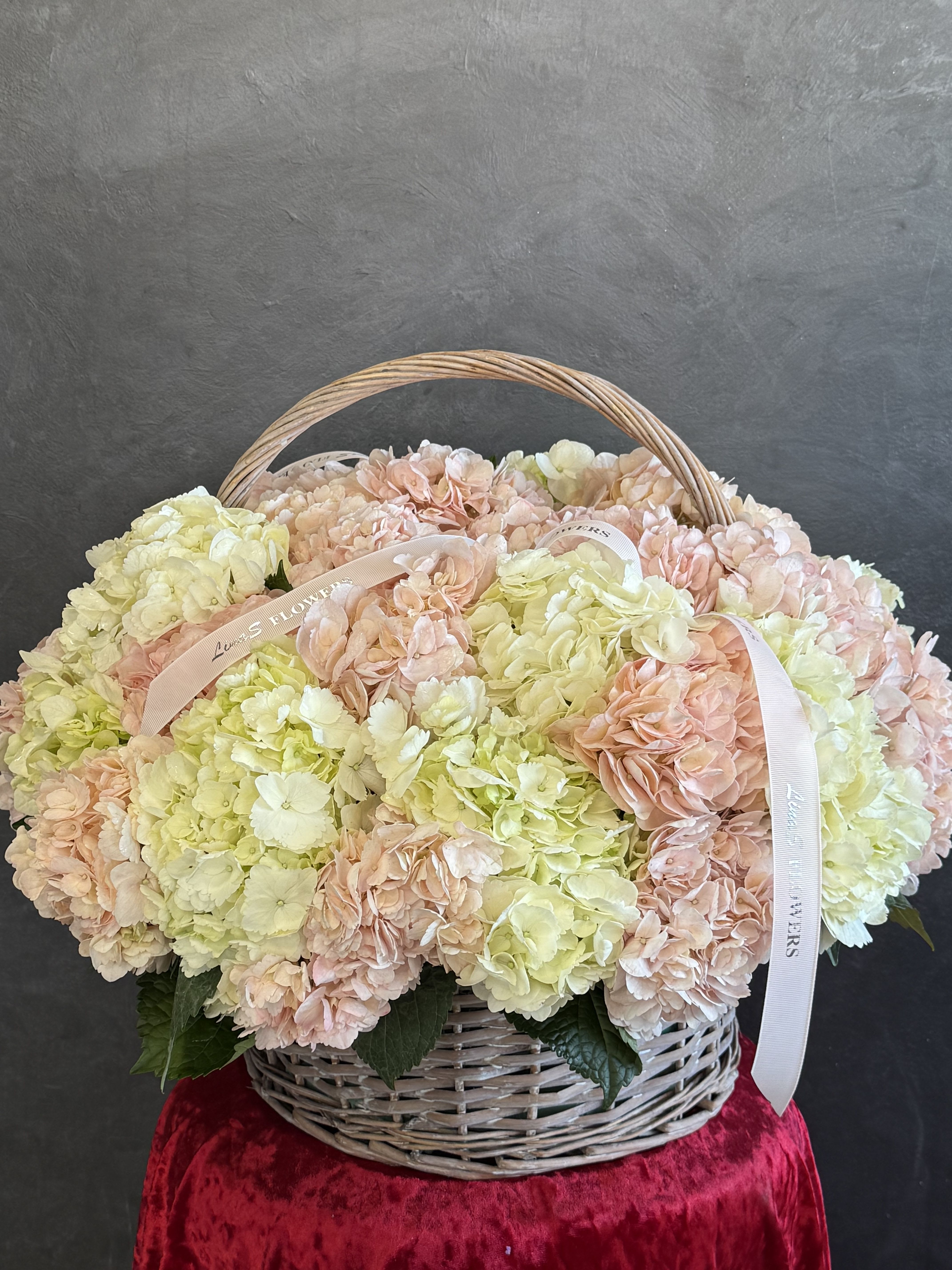 Pink &amp; White Hydrangeas - Pink and white hydrangeas in a basket — a soft and elegant arrangement filled with delicate charm, freshness, and timeless beauty.