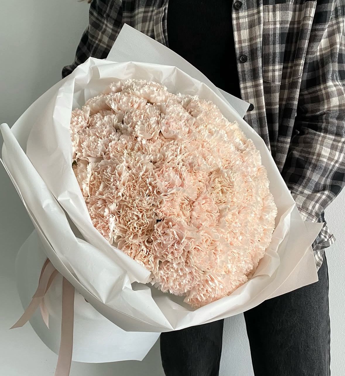 50 beige dianthus - 50 beige dianthus