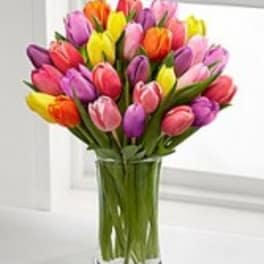 Assorted Tulips Premium Bouquet Shown $75.00 (30 Tulips) - Standard $50.00 10Tulips, Deluxe $65.00 20 Tulips and Premium (shown) $75.00 30 Tulips Picked fresh from the farm to bring brilliant color to your special recipient's everyday, the Rush of Color Assorted Tulip Bouquet is a warm and sunny way to show them how much you care. Hand gathered in select floral farms, boasting an array of bright colors.