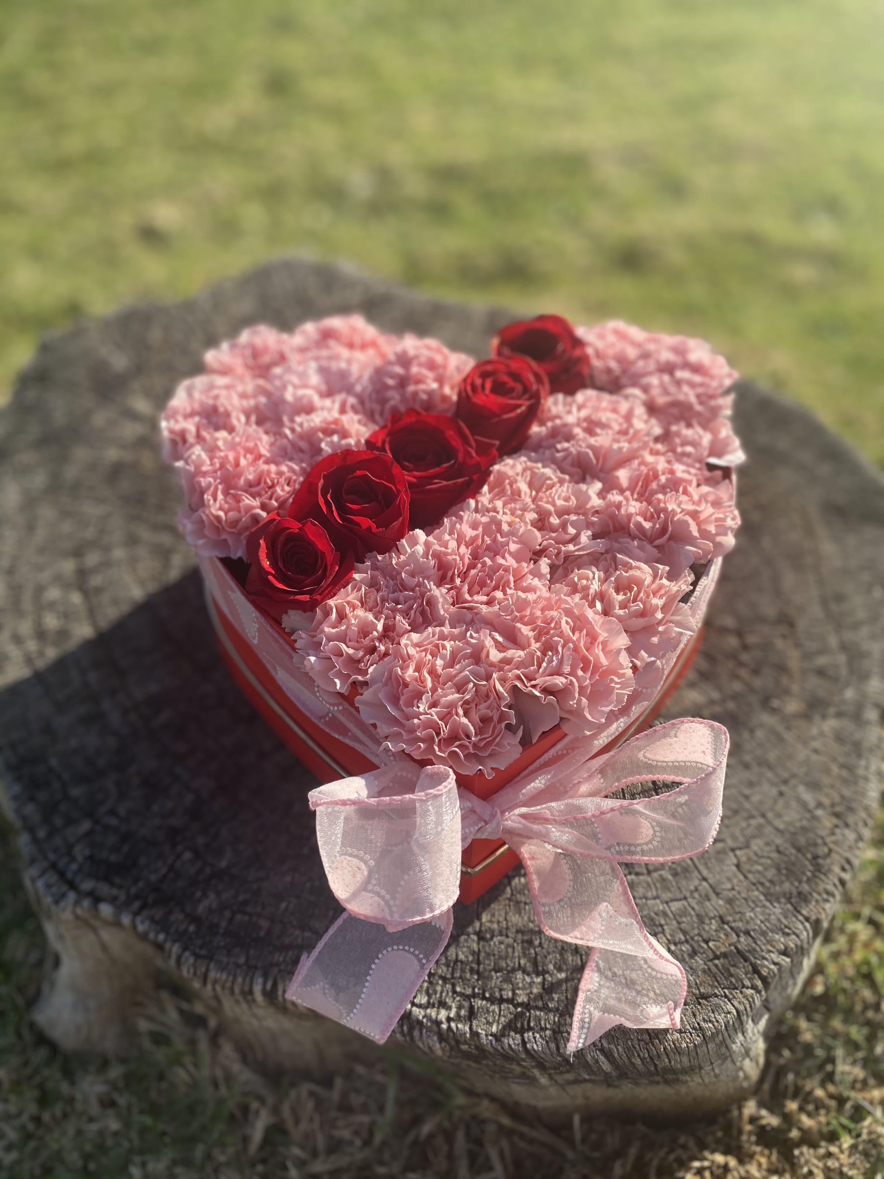 Heart box  - Heart box with Fresh Heart Carnation Arrangement This charming heart-shaped arrangement is crafted with lush pink carnations, accented with a touch of vibrant red roses for the perfect balance of sweetness and romance.