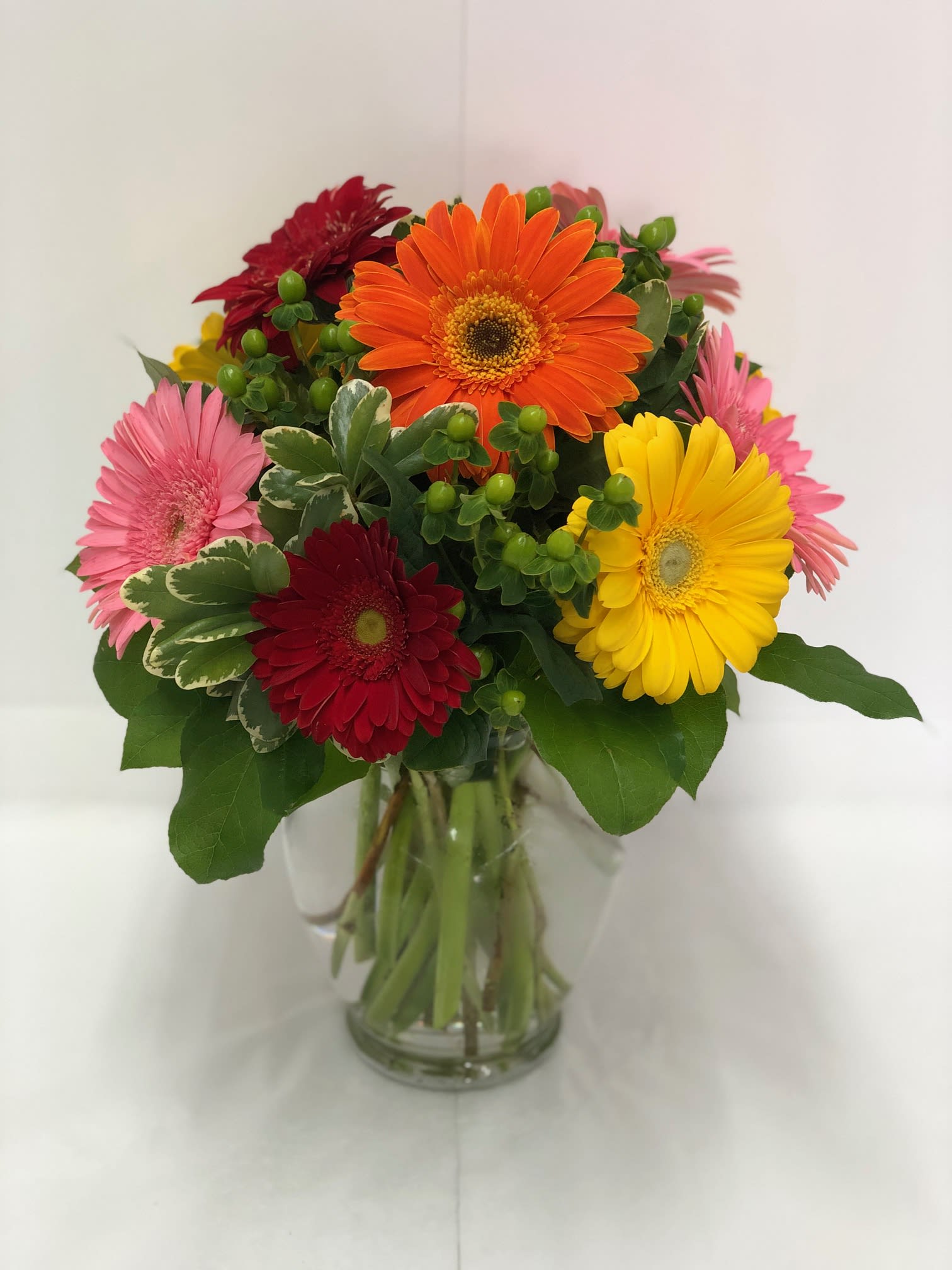 All the Gerbera Brights - Sending this bouquet just might be your brightest idea of the summer! Gerberas are so full of color charisma and character and this arrangement showcases their glory. A clear vase featuring a mixture of colored Gerberas, green hypericum berries and seasonal greenery is always sure to please.   