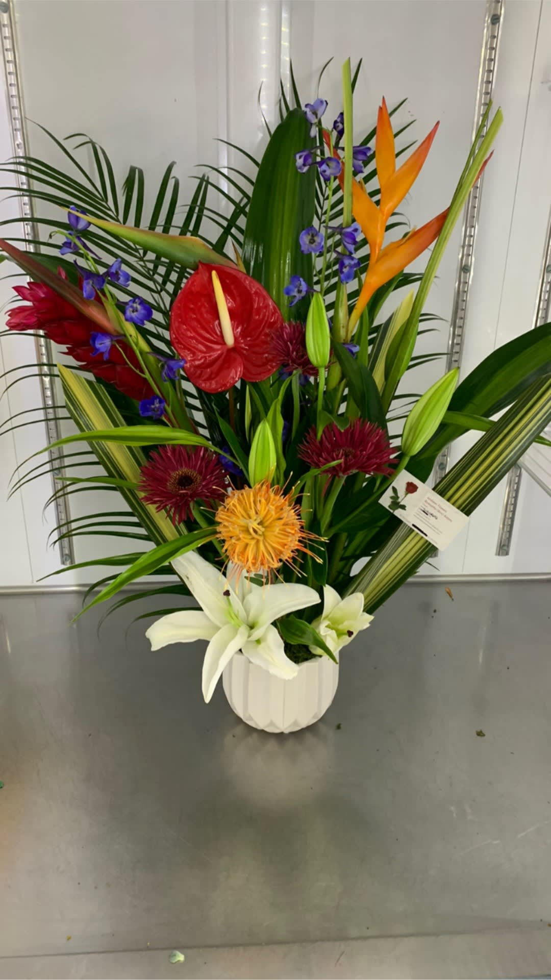 you inspire me by andrews - mixed tropicals