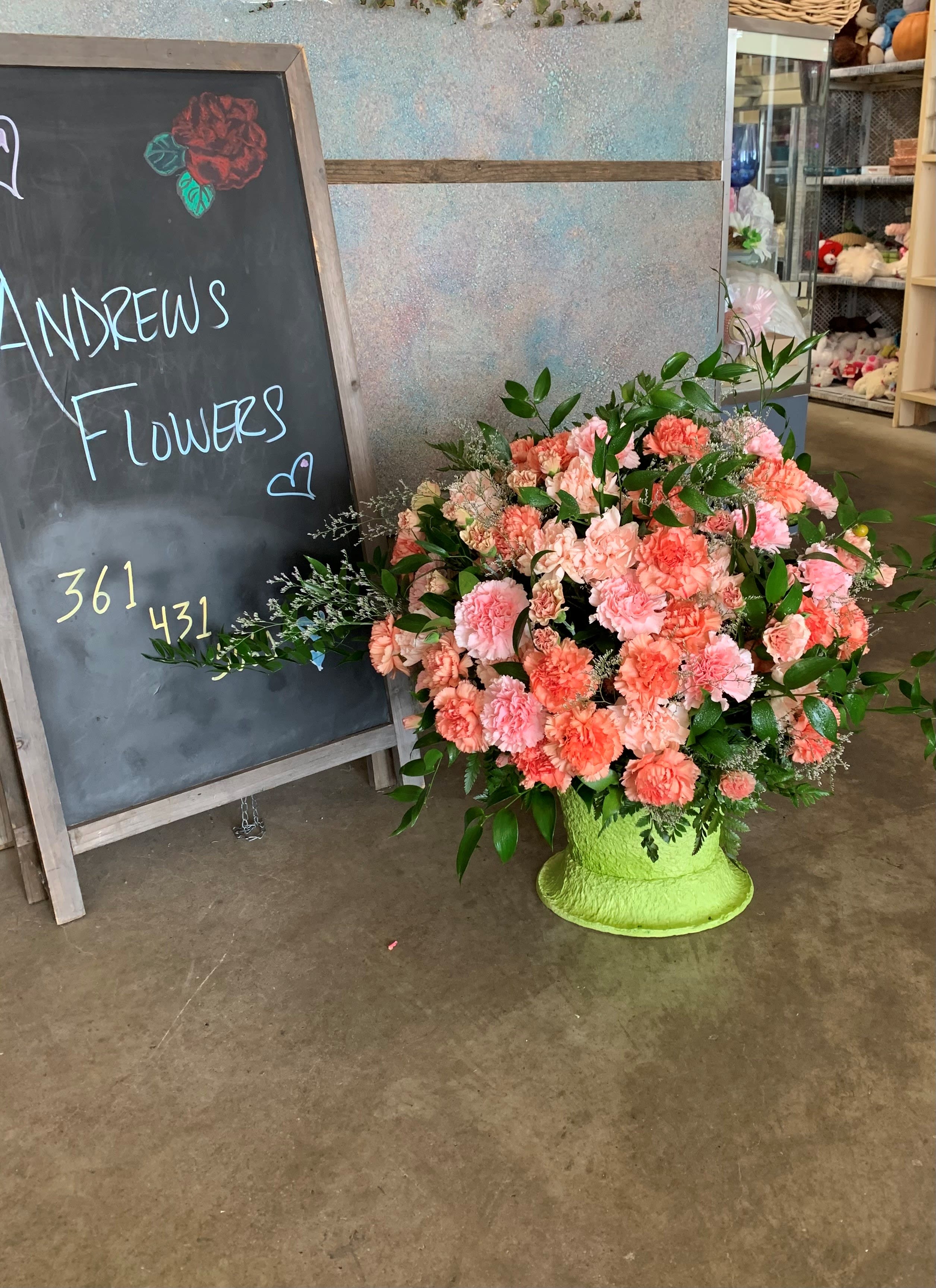 andrews carnations  - carnations