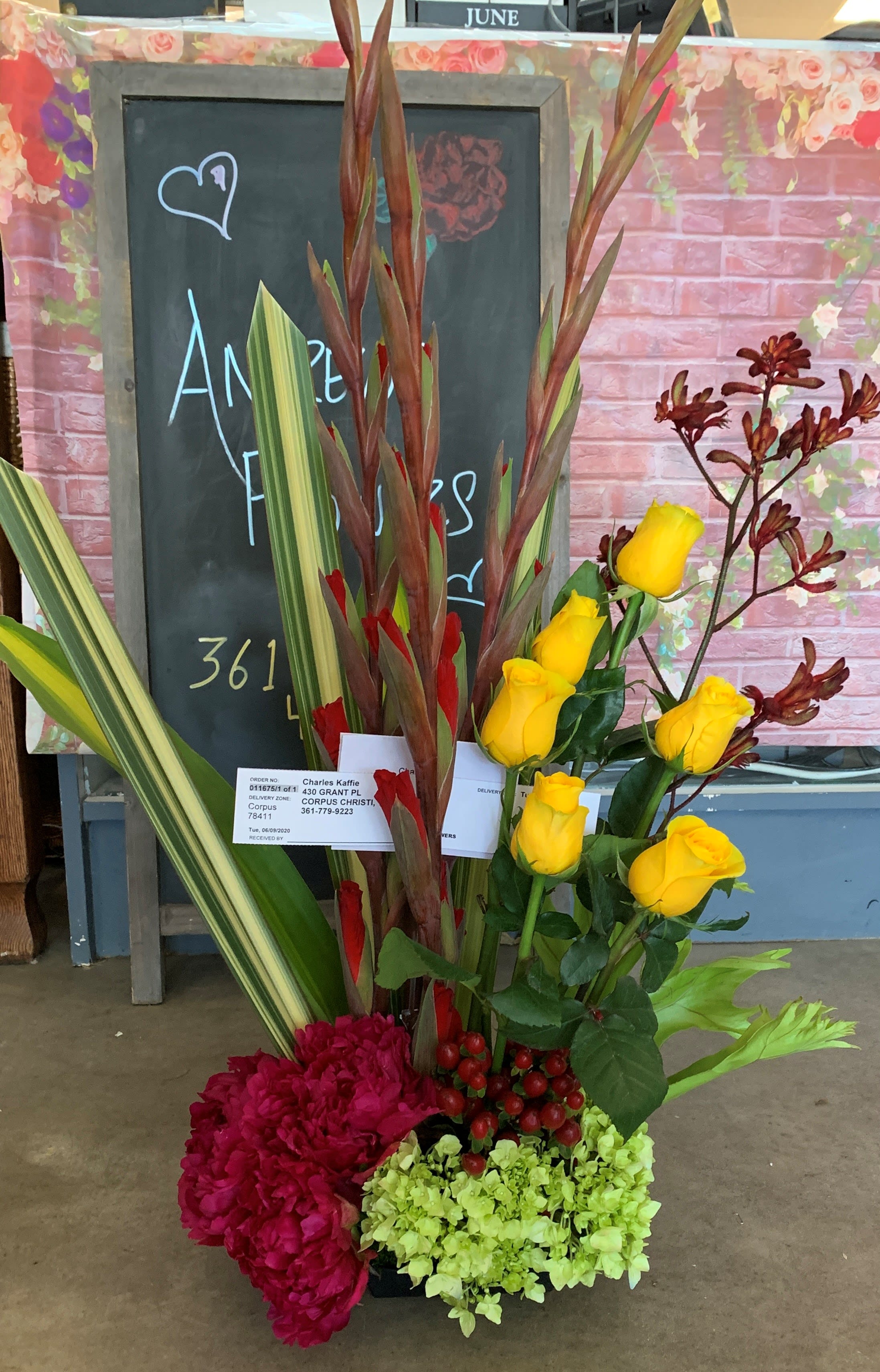 andrews tropical sun - mixed 