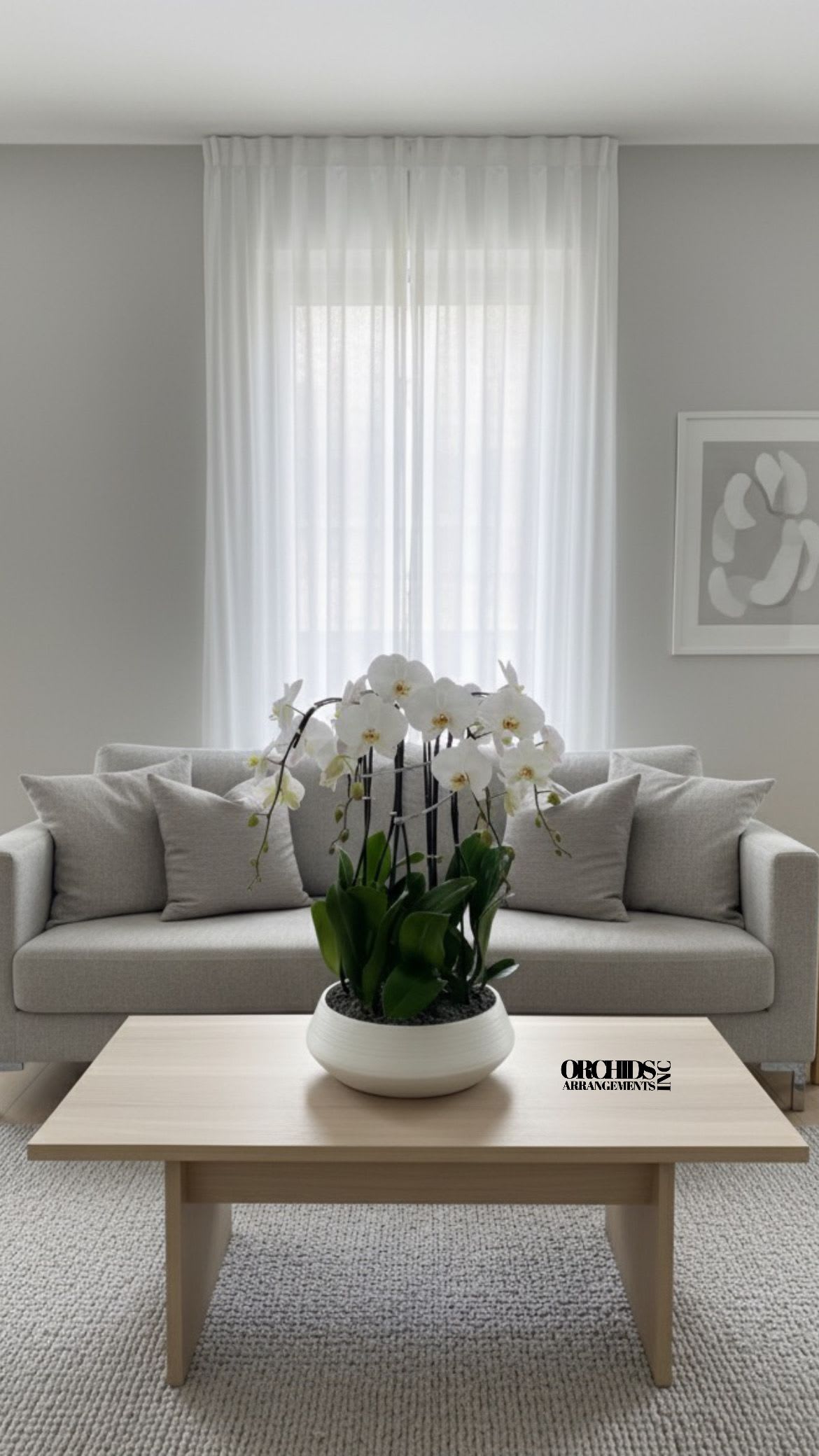 White Orchid Same Day - A high quality Eight white flower orchids arrangement with a vase 14" D X 5.50" T. An orchids arrangement deliver for any occasion design with fresh natural real beautiful Phalaenopsis cascade orchids plants minimalist decor. 