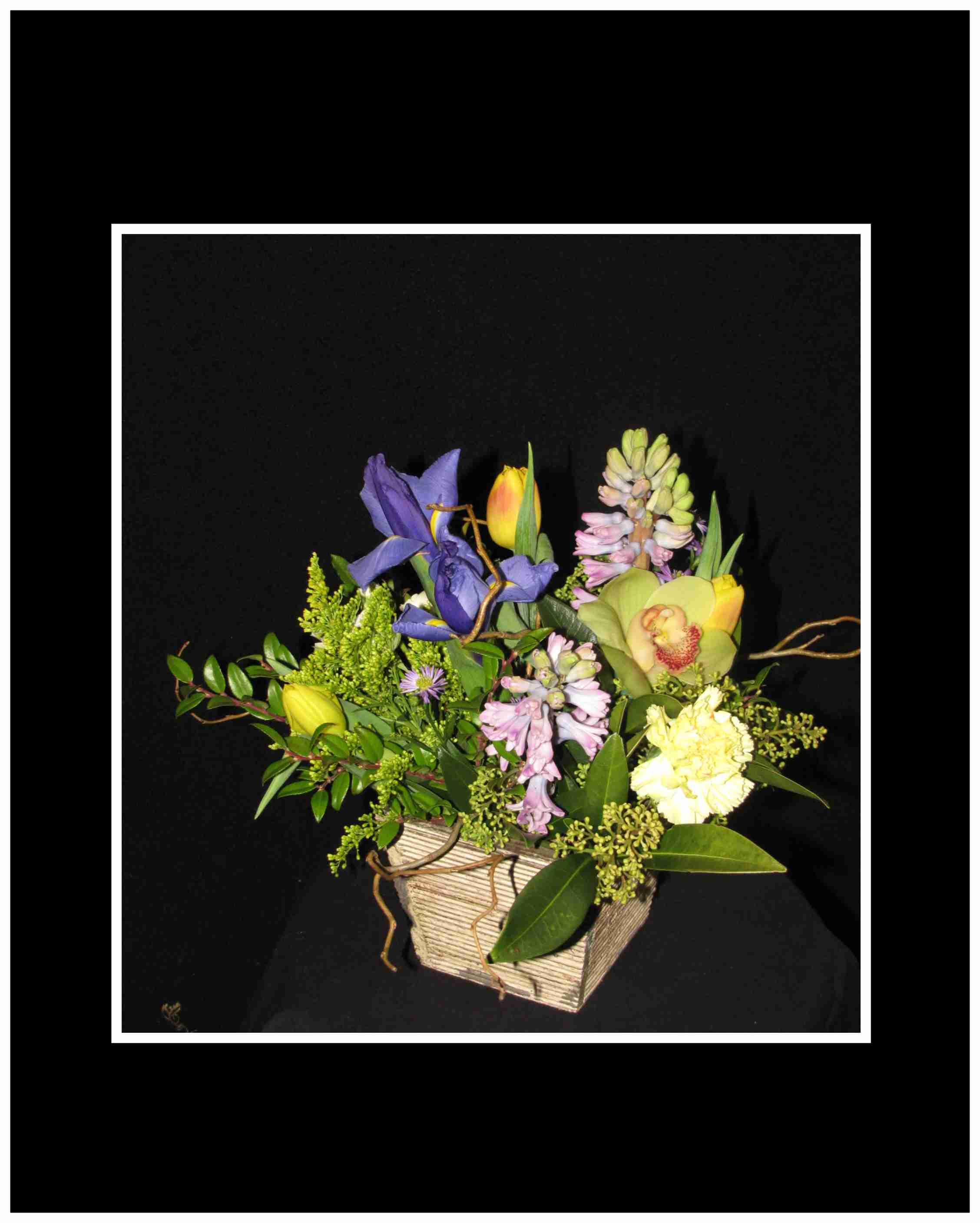 Spring Scents Arrangement - Full of spring time flowers and full of lovely scents of spring with hyacinths ;a large Cymbidium blossom and viburnum all arranged in a rustic container.  Approx. 12 x 12