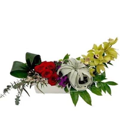 Love is in the Air - A modern, low-profile arrangement featuring vibrant red roses, sculptural succulents, green cymbidium orchids, and lush tropical foliage, artfully designed in a sleek rectangular container.