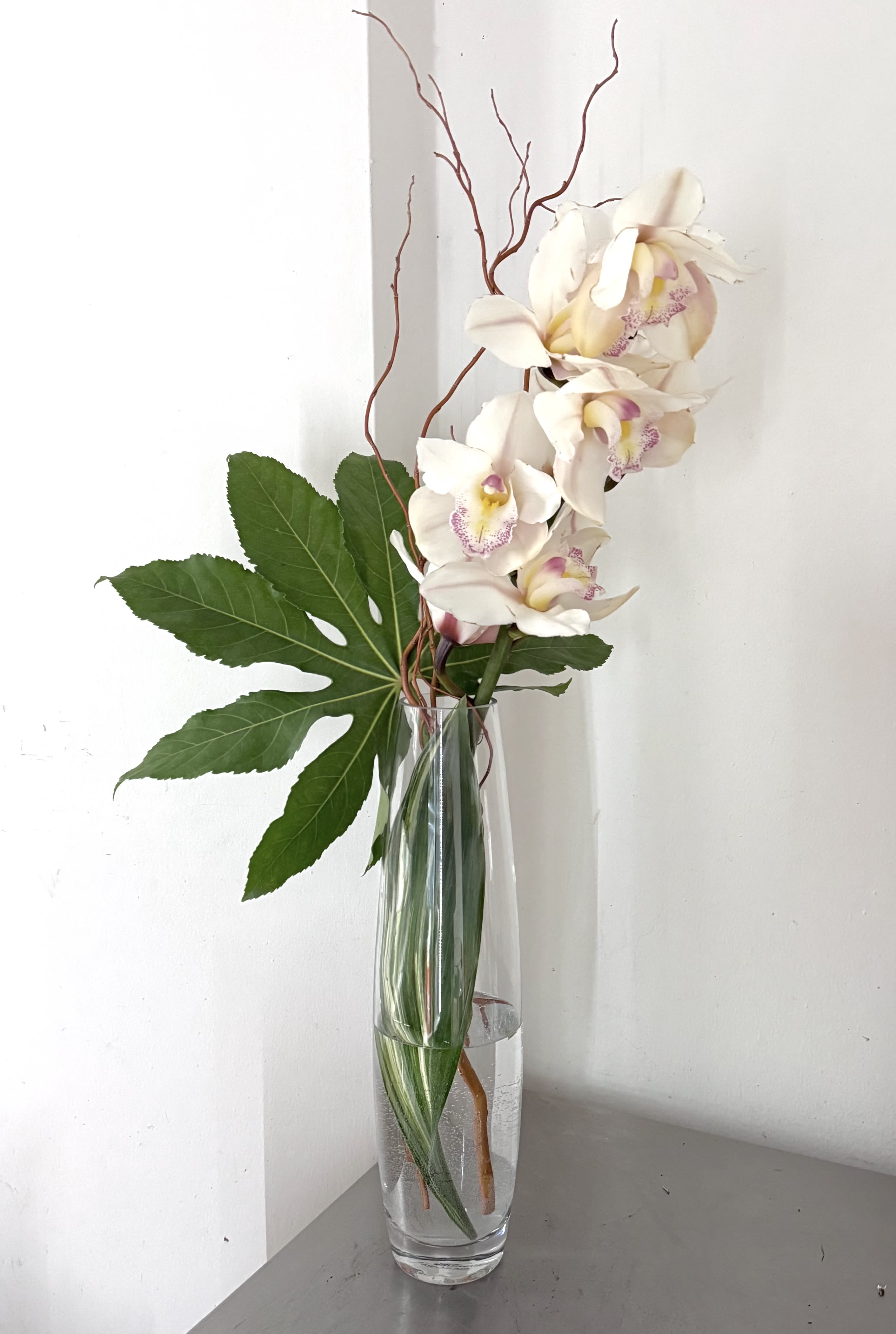 Quiet Elegance Orchid - Quiet Elegance Orchid is a refined, minimalist design featuring cascading cymbidium orchids accented with sculptural curly willow and bold tropical foliage. Arranged in a tall clear glass vase, this piece highlights graceful movement, soft neutral tones, and modern simplicity. Perfect for contemporary interiors, corporate spaces, or as an understated yet striking statement of sophistication.