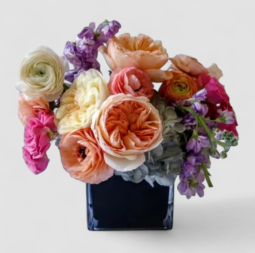 Bella Blossoms In Blacks Designer's Choice - Send this designer's choice pastel blossom beauty in a sleek modern black glass cube style vase filled with the day's most beautiful pastel blossoms roses hydrangeas and more. Simply perfect to send for every reason to make them smile. Always made unique and extra special each and every time. Send happiness.