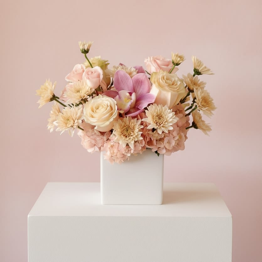 Soft Devotion - This elegant Valentine’s Day arrangement showcases a delicate palette of blush pink, soft ivory, and creamy neutrals for a timeless expression of love. Designed with premium roses, spray roses, hydrangea, chrysanthemums, and a graceful cymbidium orchid accent, this arrangement feels romantic, airy, and effortlessly sophisticated. Styled in a modern 5" white ceramic cube vase, it’s perfect for intimate Valentine’s gifting, anniversaries, or a meaningful gesture that speaks softly but beautifully. Soft Devotion approximately measures 12" tall and wide with flowers.  Handcrafted by our floral designers in Brentwood, this arrangement is available for flower delivery throughout West Los Angeles (including Brentwood, Santa Monica, Beverly Hills, Bel Air, Westwood, Pacific Palisades, Culver City, and surrounding Los Angeles neighborhoods)