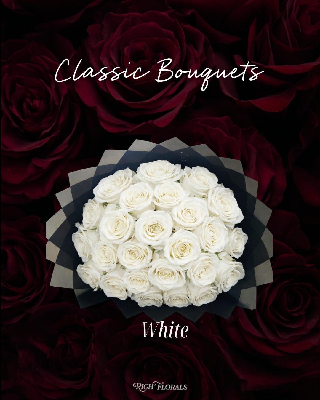 White Classic Bouquet - Valentine's Day - A round bouquet of premium WHITE roses, hand-tied and designed to impress. Available in 25, 50, or 75 stems, this Valentine’s Day rose arrangement is the perfect classic bouquet for a romantic gesture.