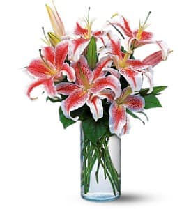 10 Stems of Lovely Lilies - Lilies have long been a sweet and wonderful way to warm anyone's heart. These stargazer lilies are sure to do the trick.  Stargazer lilies arrive in a glass cylinder vase.   Approximately 19" W X 24" H  Orientation: All-Around  As Shown : TF8-2